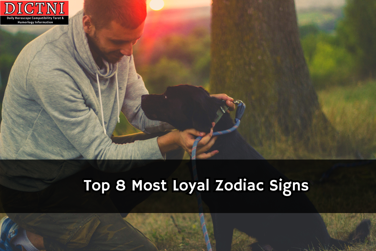 Top 8 Most Loyal Zodiac Signs Dictni Daily Horoscope Compatibility Tarot And Numerology 6820