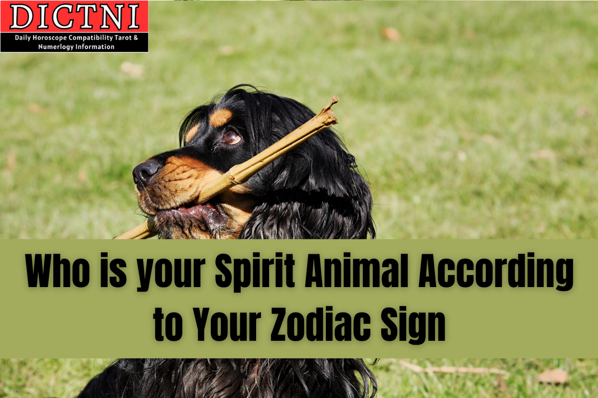 Who is your Spirit Animal According to Your Zodiac Sign