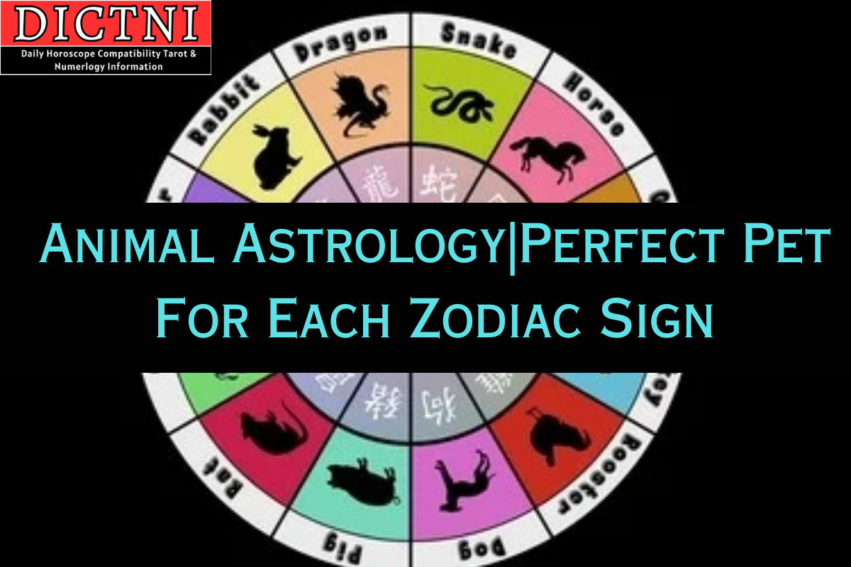 Animal Astrology|Perfect Pet For Each Zodiac Sign