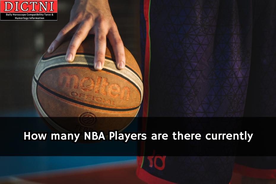 How many NBA Players are there currently